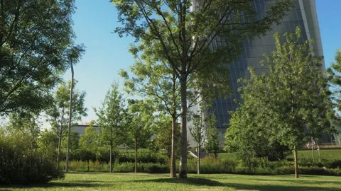 Skyscraper in a urban park Stock Footage 137648232