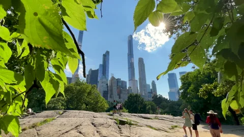 Skyscraper view from Central Park in New York City Stock Footage 204097208