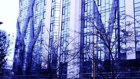 Skyscraper In Violet Blue Light And Trees In The Wind Stock Footage 104805254