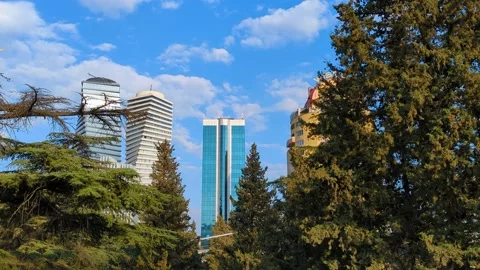 Skyscrapers and trees Stock Footage 236973533