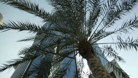 Skyscrapers in Doha, Qatar. Video stock 130895935