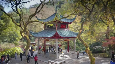 Skyscrapers Ifs In Changsha Vídeo Stock 171149863