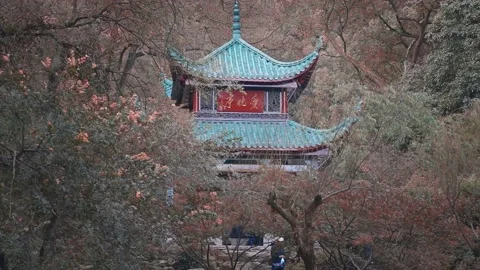 Skyscrapers Ifs In Changsha 스톡 동영상 200397000