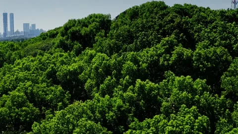 Skyscrapers Ifs In Changsha Stock Footage 220133773