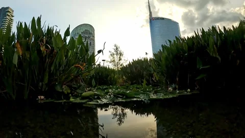 Skyscrapers in Milano Stock Footage 304547780