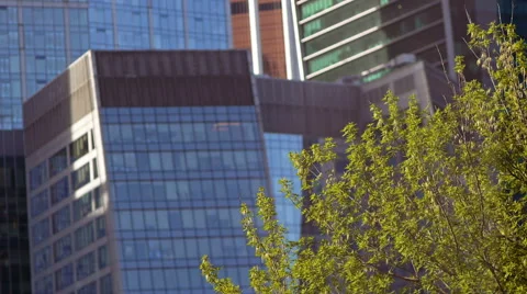 Skyscrapers in Moscow Stock Footage 50097441