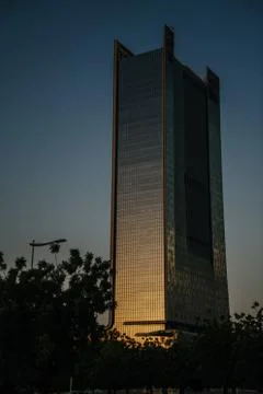 Skyscrapper during the sunset light Fotos de archivo