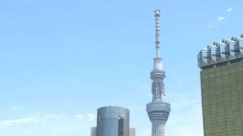Skytree Stock Footage 31393835