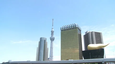 Skytree Stock Footage 31393998