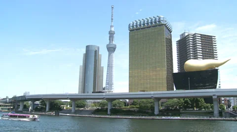 Skytree 動画素材 31394170