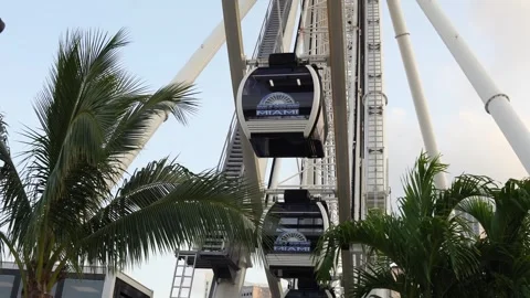 Skyview ferris wheel in Miami Florida USA. Stock Footage 275000941