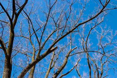 Skyview Stock Photos