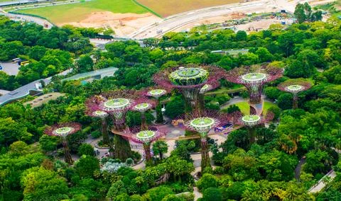 Skyview of Super tree Grove Stock Photos