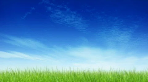 Skywriting 2009 in the sky Stock Footage 310767