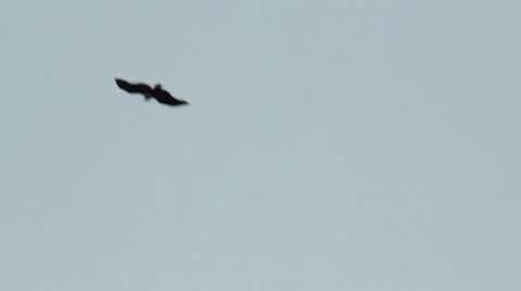 SL-Day-7 2014-brim-kite Stock Footage 34792825