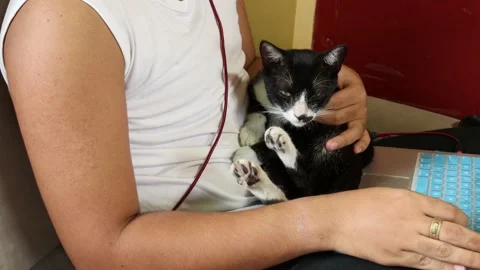 SL3 home study 1 Stock Footage 169956007