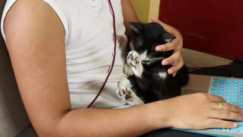 SL3 home study 2 Stock Footage 169955767