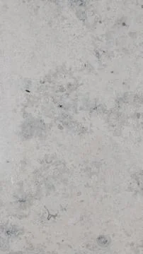 Slab marble with  ancient shell Stock Photos