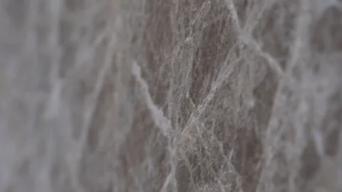 Slab marble Stock Footage 106164956