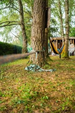 Slack Line Mounted on a Tree Trunk in a Garden in Outside Nature Stock Photos