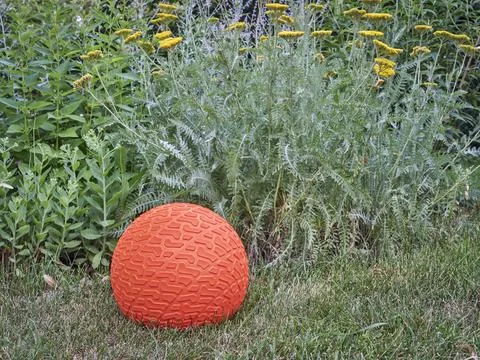 Slam ball in a backyard Stock Photos
