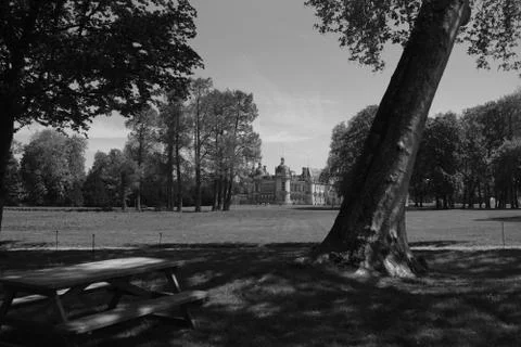 Slanted big tree trunk overlooking the classic european building Stockfoto's