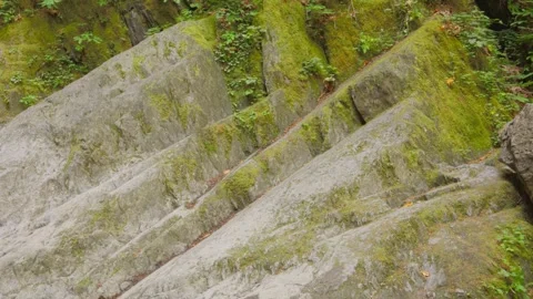 Slanted geological rock strata formations covered in green moss Stock Footage 341909527