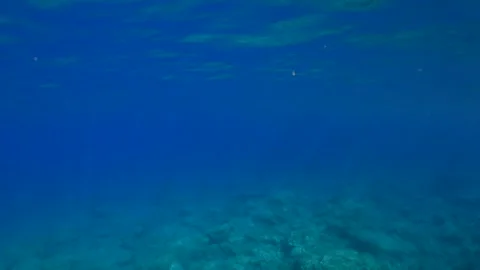 Slanting rays of the sun penetrate the water column above the shallow waters. Stock Footage 246633796