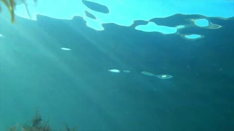 Slanting sunbeams Stock Footage 49080528