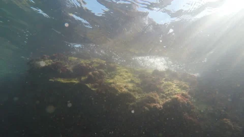Slanting sunrays illuminate the stone seabed Stock Footage 171371346
