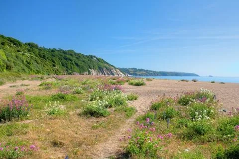 Slapton sands, devon Stock Photos