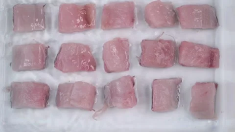 Slash of fish Stock Footage 169667525