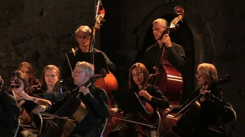 Сlassical symphony orchestra. 库存影片 7903439