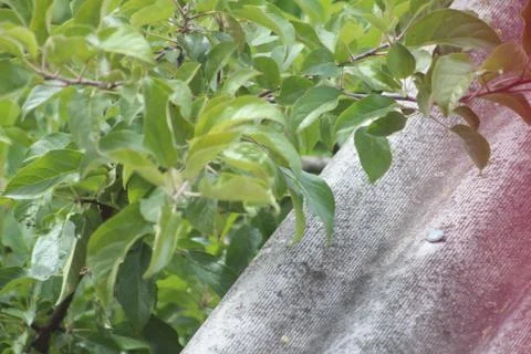 Slate 1 Stock Photos