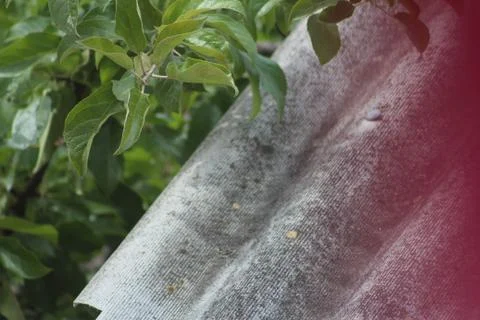 Slate 2 库存照片