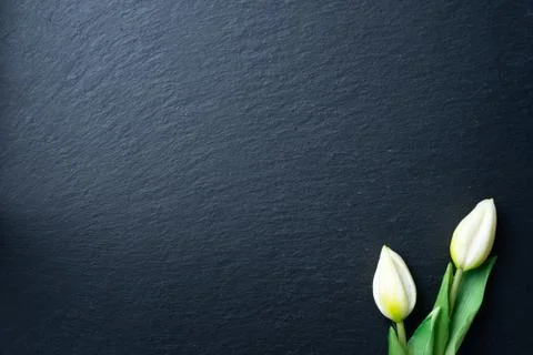 Slate background Stock Photos