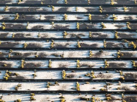 Slate black tiled surface rooftop pattern house Stock Photos