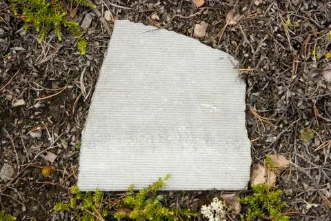 Slate piece on a ground Stock Photos