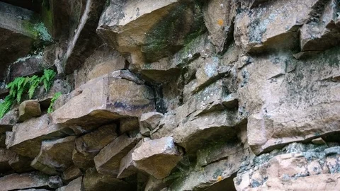 Slate rock. Hillside. Mountain. Forest. Panorama Stock Footage 73819772
