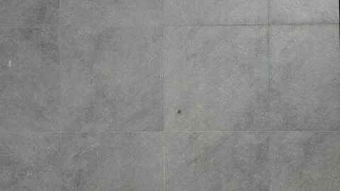 Slate Tiles: Texture, Strength, Timeless Appeal Stock Footage 308078964