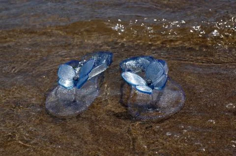 Slates beach carries a wave in the sea 스톡 사진