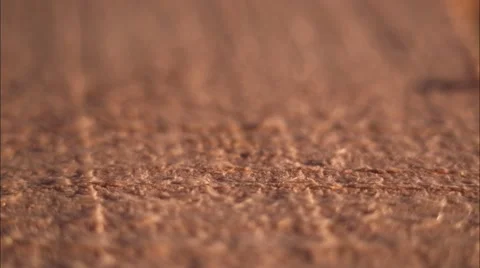 Slaughtered a Nail into a Board Stock Footage 48269741