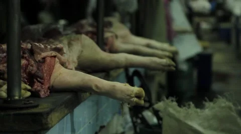 Slaughtered Pigs on Table Stock Footage 8665923