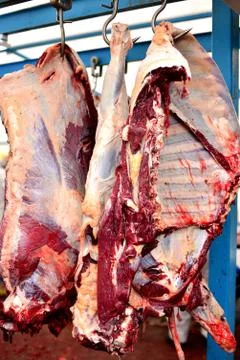 Slaughterhouse cows, hanging on hooks Stock Photos