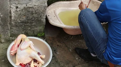 Slaughtering animals, chicken Stock Footage 47457021