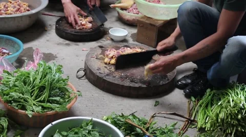 Slaughtering animals, chicken Stock Footage 47457489