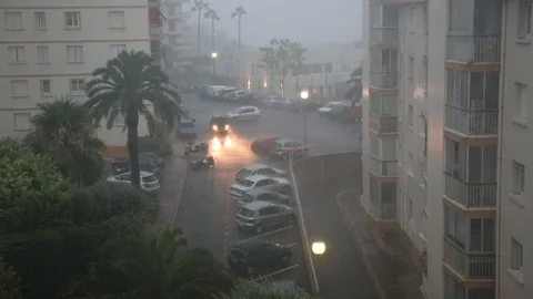 SLAV5198 스톡 동영상 89829131