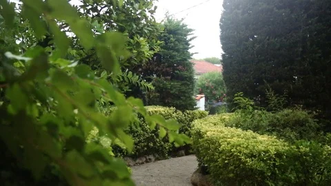 SLAV5209 스톡 동영상 89829134