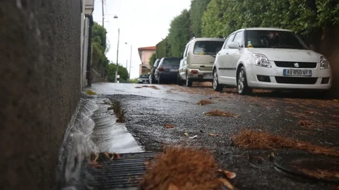 SLAV5220 스톡 동영상 89829152