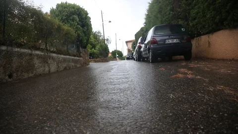 SLAV5221 스톡 동영상 89829148